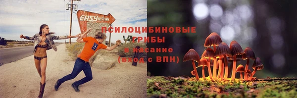 ECSTASY Белоозёрский