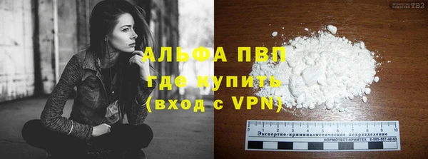 индика Белокуриха