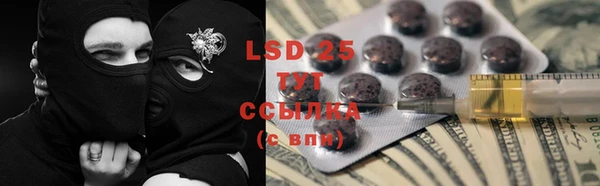 индика Белокуриха