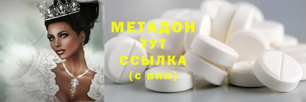 индика Белокуриха