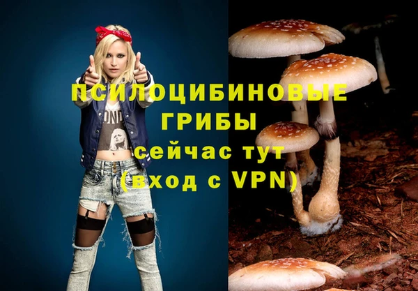 кокс Беломорск
