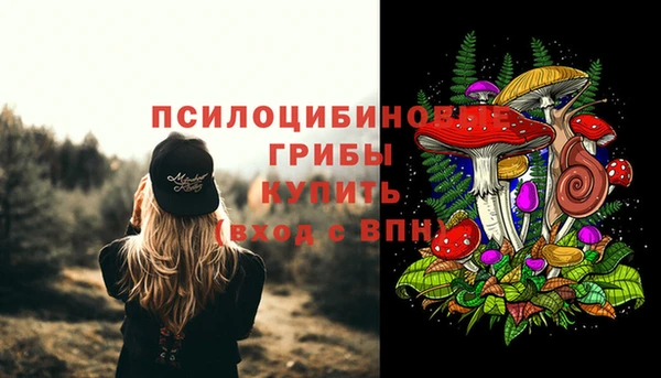 ECSTASY Белоозёрский