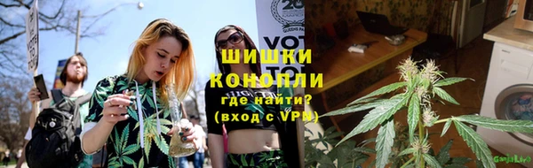 индика Белокуриха
