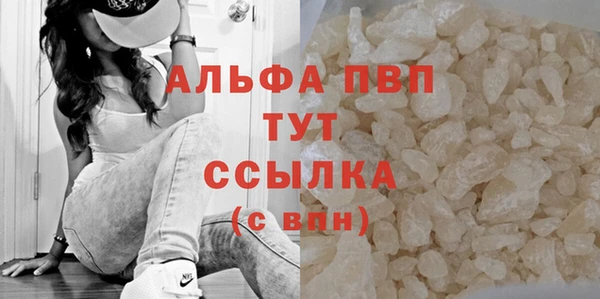 индика Белокуриха