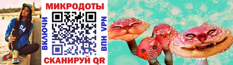 Галлюциногенные грибы Psilocybe  Бородино 